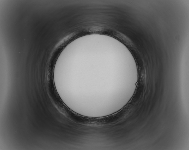 X0000083010732200703021940