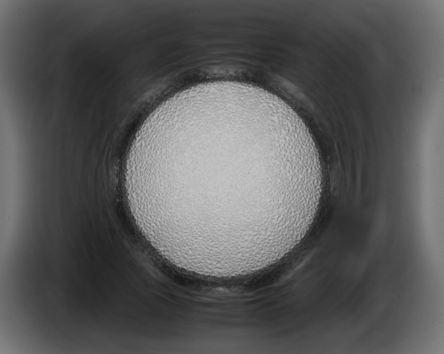 X0000083010737200703021940