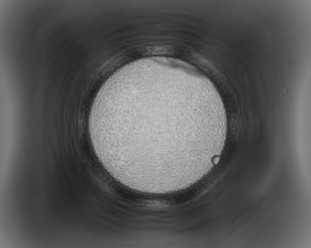 X0000083010741200703021940