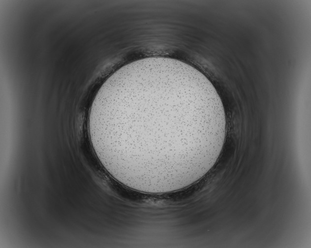 X0000083010742200703021940