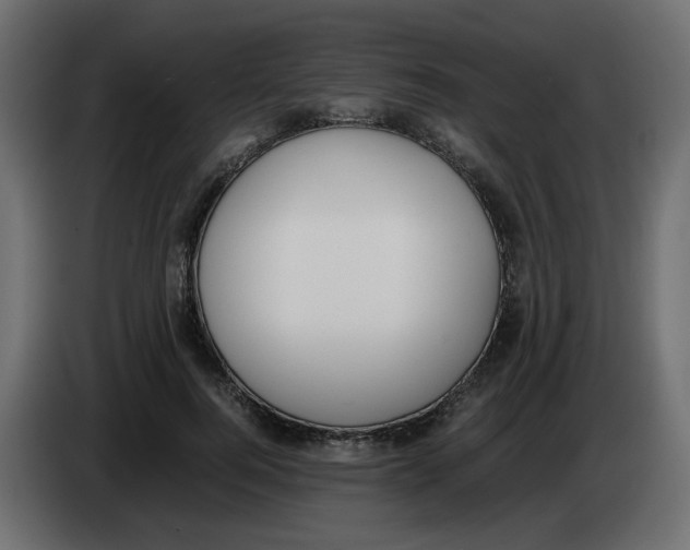 X0000083010744200703021940