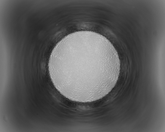 X0000083010749200703021940