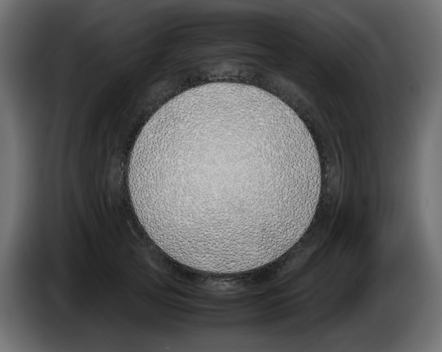 X0000083010753200703021940