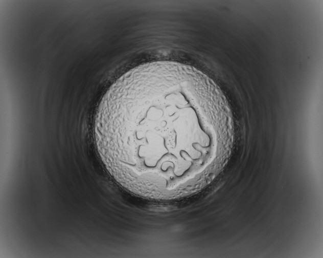 X0000083010754200703021940