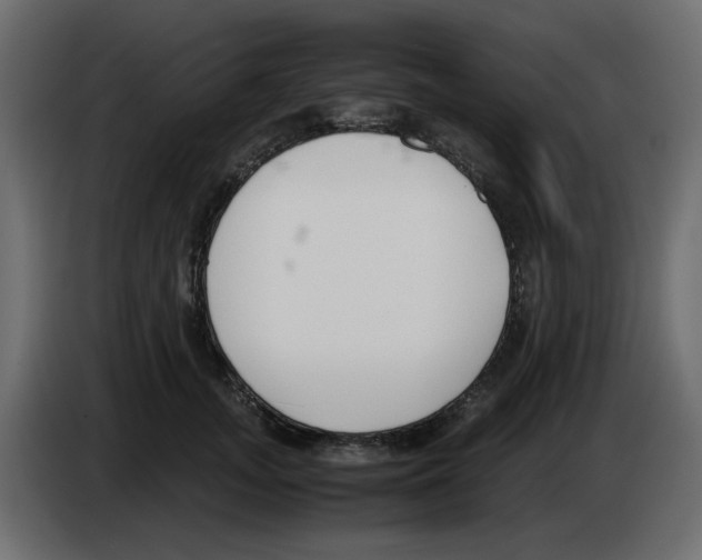 X0000083010755200703021940