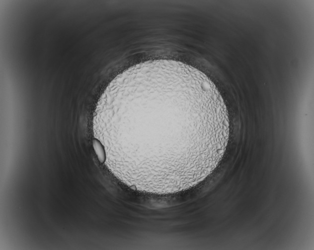 X0000083010757200703021940