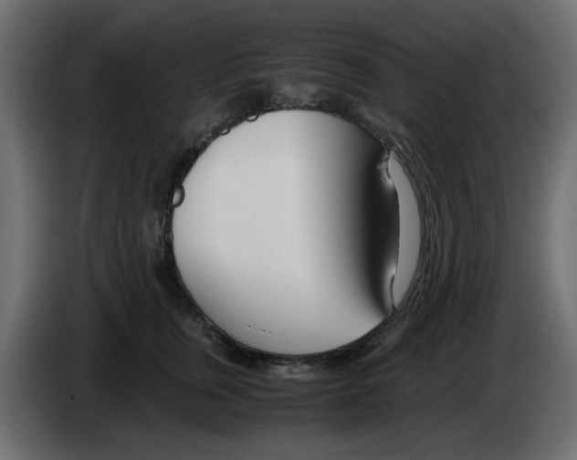 X0000083010759200703021940