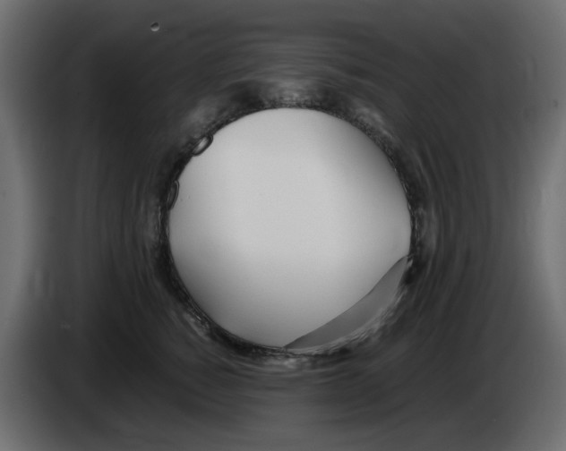 X0000083010760200703021940