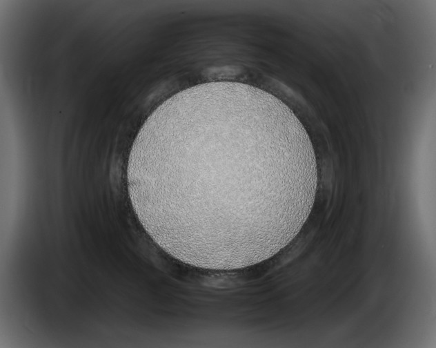 X0000083010761200703021940