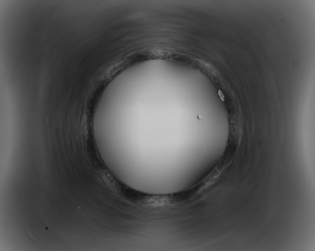 X0000083010762200703021940