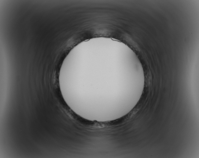 X0000083010764200703021940