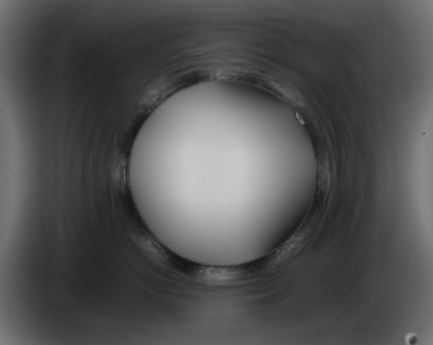 X0000083010766200703021940