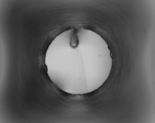 X0000083010768200703021940