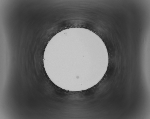 X0000083010769200703021940