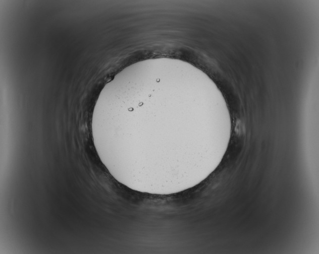 X0000083010771200703021940