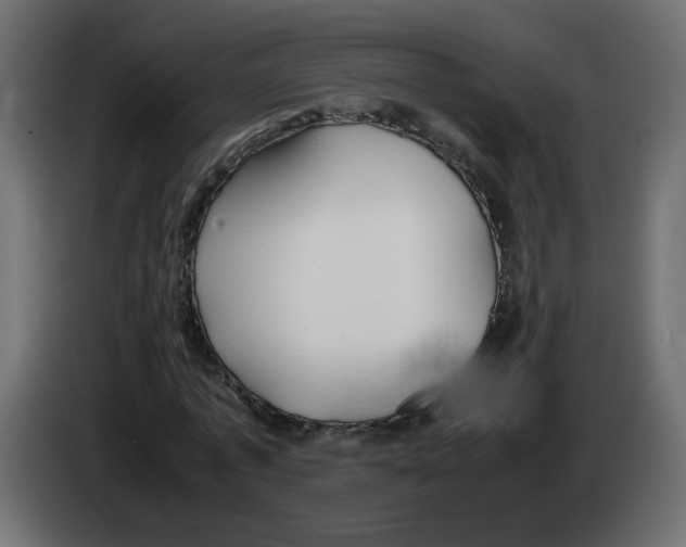 X0000083010773200703021940