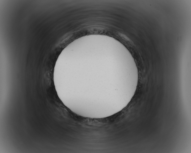 X0000083010774200703021940