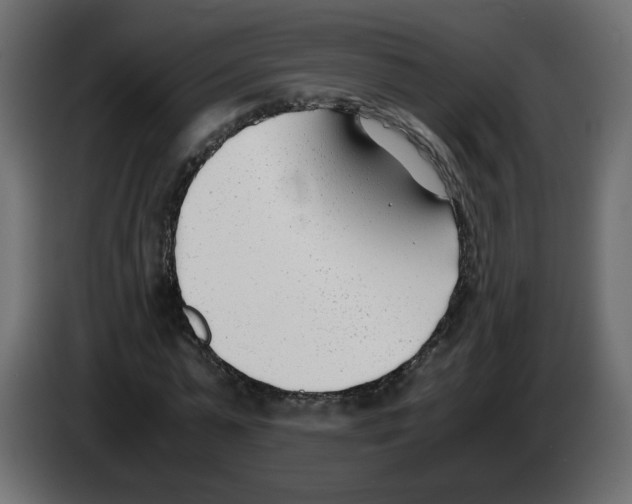 X0000083010775200703021940