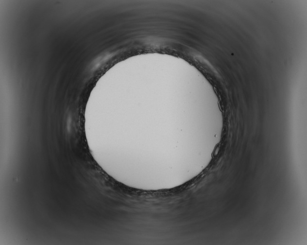 X0000083010776200703021939