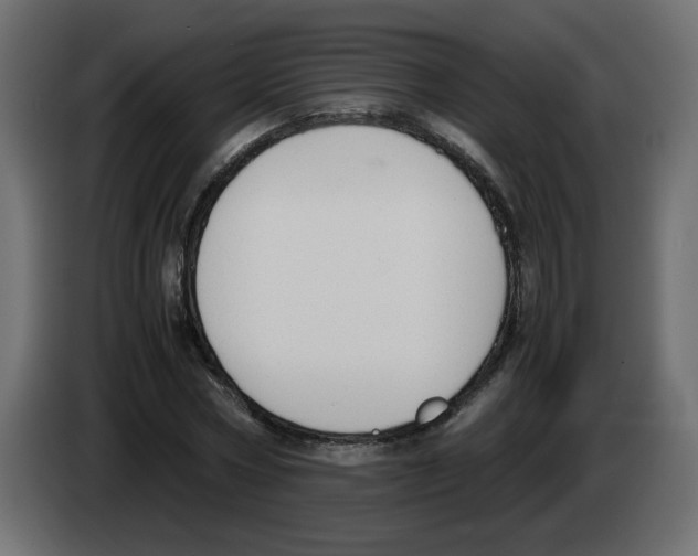 X0000083010778200703021939