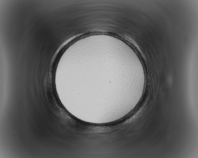 X0000083010779200703021939