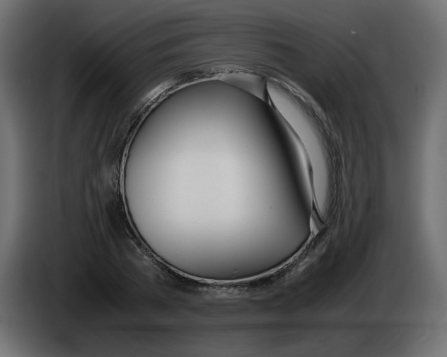 X0000083010785200703021939