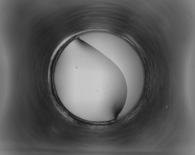 X0000083010788200703021939