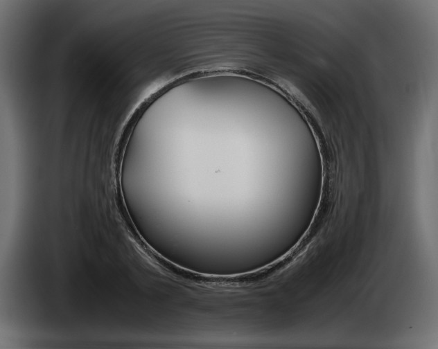 X0000083010789200703021939