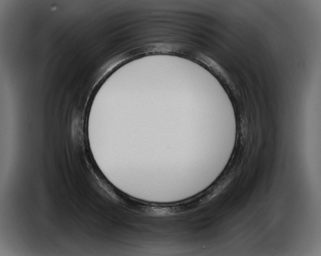 X0000083010794200703021939