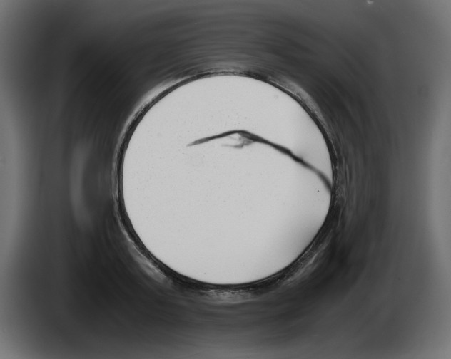 X0000083010795200703021939