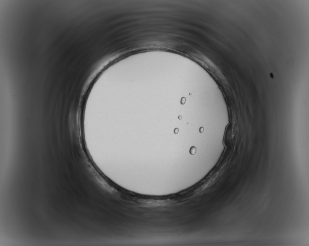 X0000083010796200703021939