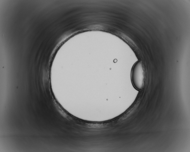 X0000083010800200703021939