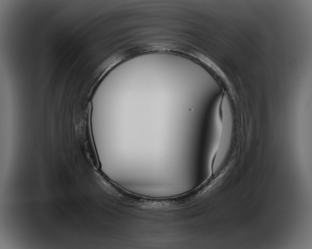 X0000083010801200703021939