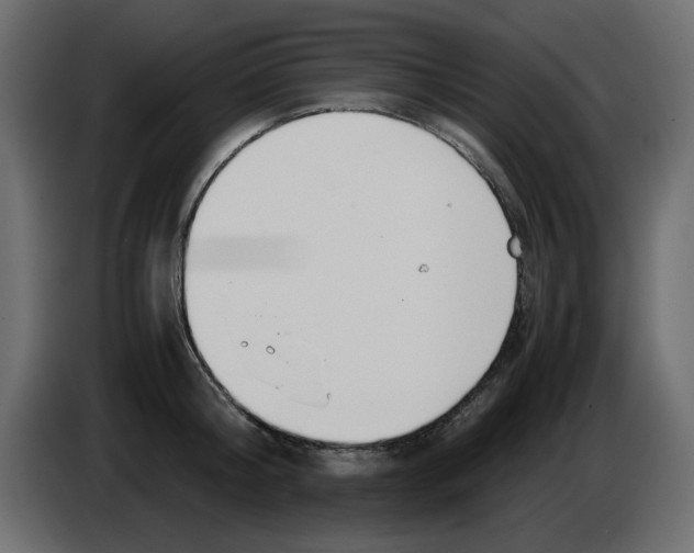 X0000083010804200703021939