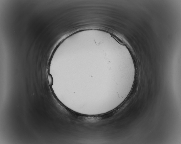 X0000083010805200703021939