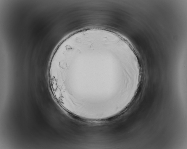 X0000083010807200703021939