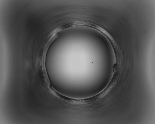 X0000083010809200703021939