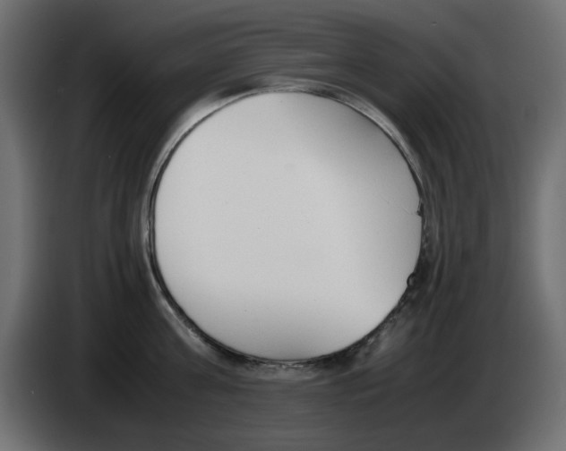 X0000083010811200703021939