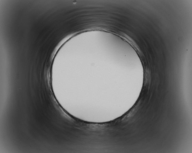 X0000083010812200703021939