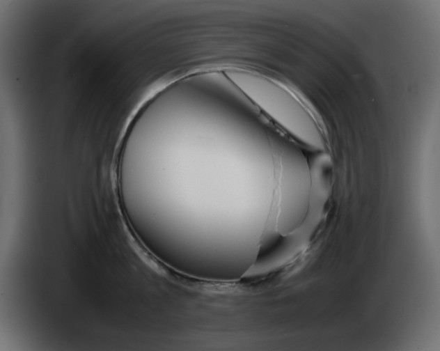 X0000083010813200703021939