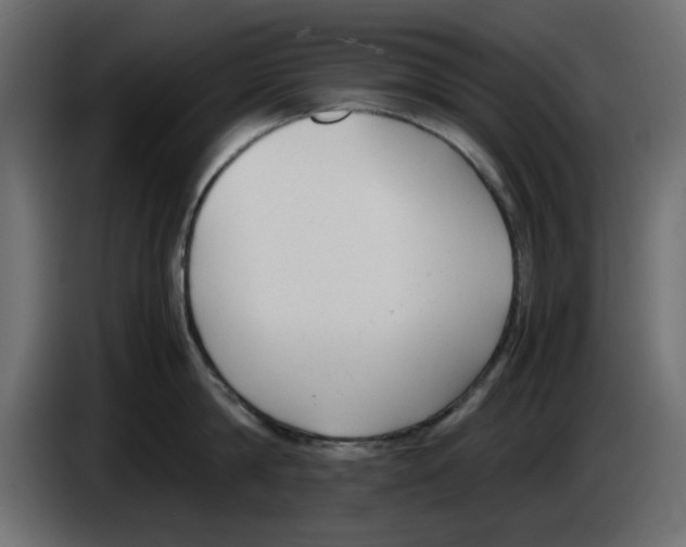 X0000083010814200703021939