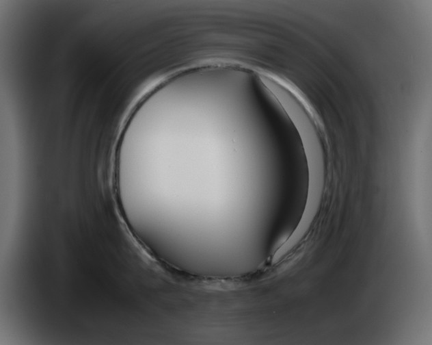 X0000083010815200703021939