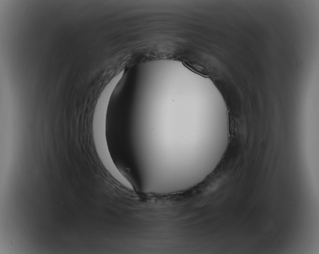 X0000083010818200703021938