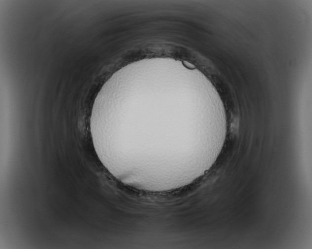 X0000083010819200703021938