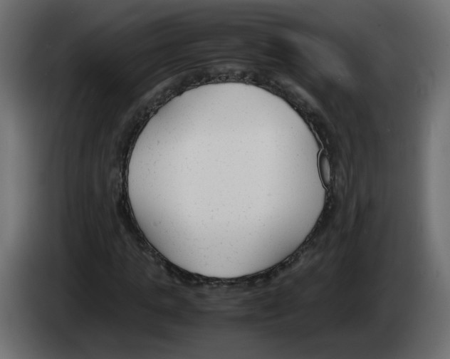 X0000083010821200703021938