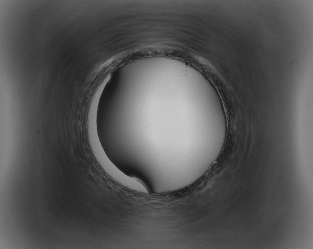 X0000083010822200703021938