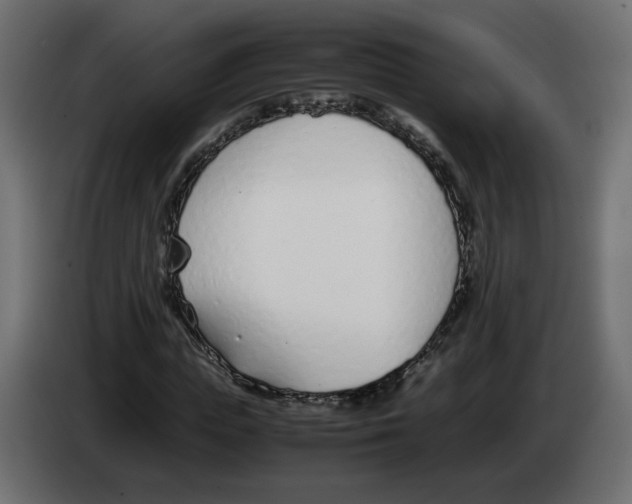 X0000083010823200703021938