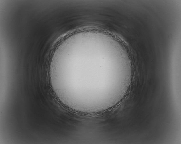 X0000083010824200703021938