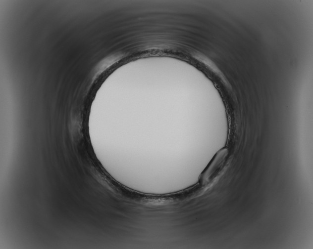 X0000083010826200703021938