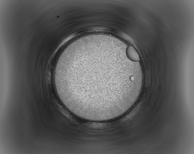 X0000083010827200703021938